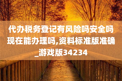 代办税务登记有风险吗安全吗现在能办理吗,资料标准版准确_游戏版34234