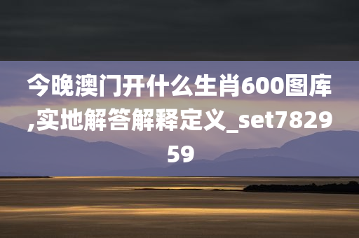 今晚澳门开什么生肖600图库,实地解答解释定义_set782959