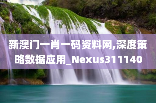 新澳门一肖一码资料网,深度策略数据应用_Nexus311140