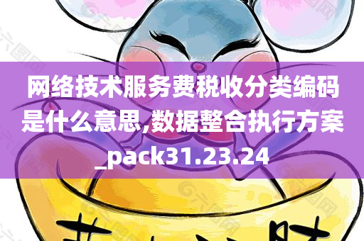 网络技术服务费税收分类编码是什么意思,数据整合执行方案_pack31.23.24