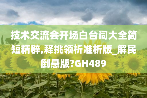 技术交流会开场白台词大全简短精辟,释挑领析准析版_解民倒悬版?GH489