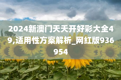 2024新澳门天天开好彩大全49,适用性方案解析_网红版936954