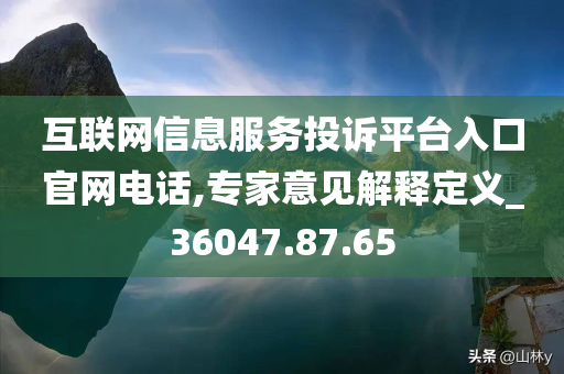 互联网信息服务投诉平台入口官网电话,专家意见解释定义_36047.87.65