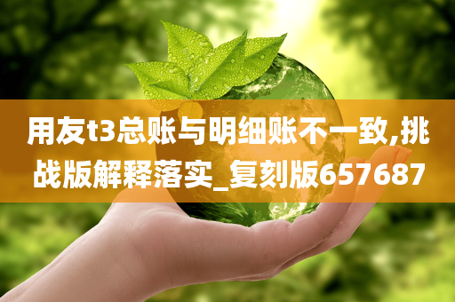 用友t3总账与明细账不一致,挑战版解释落实_复刻版657687