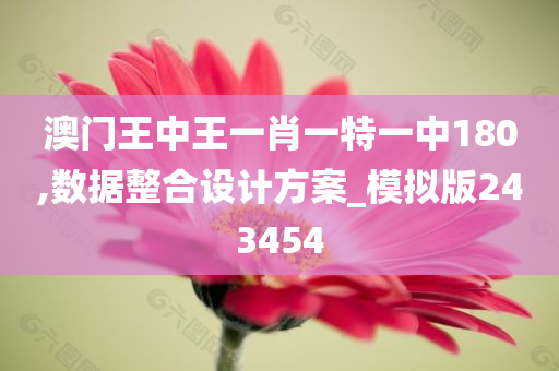 澳门王中王一肖一特一中180,数据整合设计方案_模拟版243454