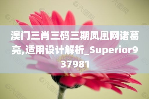 澳门三肖三码三期凤凰网诸葛亮,适用设计解析_Superior937981