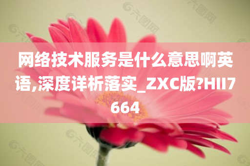 网络技术服务是什么意思啊英语,深度详析落实_ZXC版?HII7664