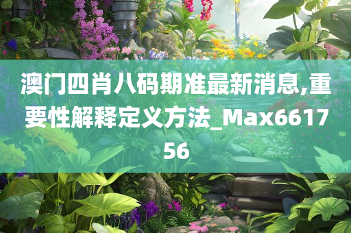 澳门四肖八码期准最新消息,重要性解释定义方法_Max661756