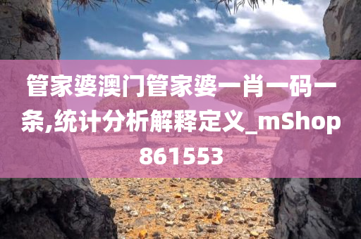 管家婆澳门管家婆一肖一码一条,统计分析解释定义_mShop861553