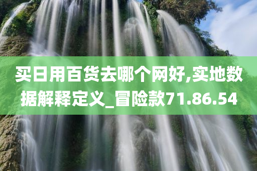 买日用百货去哪个网好,实地数据解释定义_冒险款71.86.54