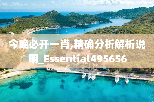 今晚必开一肖,精确分析解析说明_Essential495656