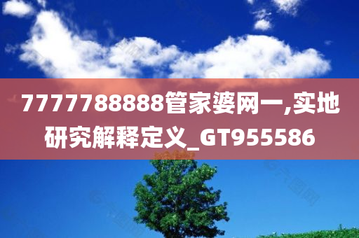 7777788888管家婆网一,实地研究解释定义_GT955586