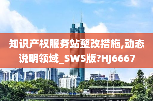 知识产权服务站整改措施,动态说明领域_SWS版?HJ6667