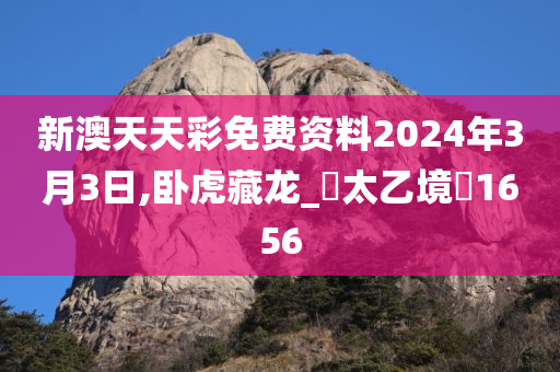 新澳天天彩免费资料2024年3月3日,卧虎藏龙_‌太乙境‌1656