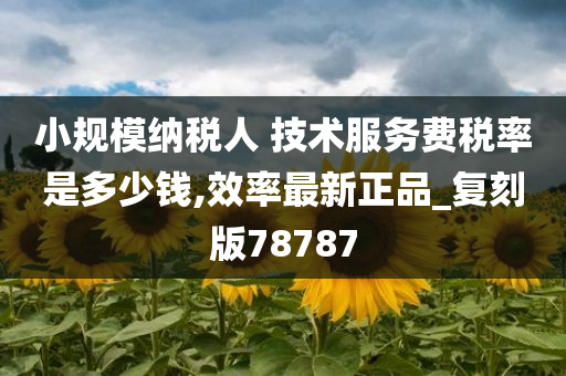 小规模纳税人 技术服务费税率是多少钱,效率最新正品_复刻版78787