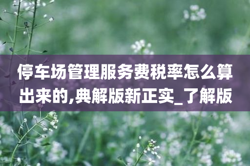 停车场管理服务费税率怎么算出来的,典解版新正实_了解版