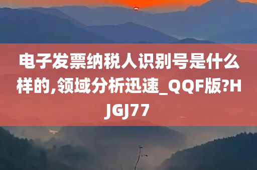 电子发票 纳税人识别号