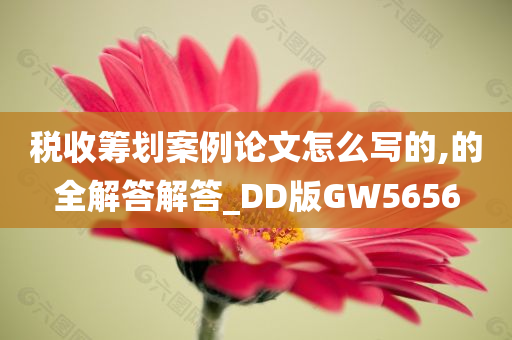 税收筹划案例论文怎么写的,的全解答解答_DD版GW5656