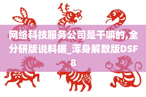 网络科技服务公司是干嘛的,全分研版说料据_浑身解数版DSF8