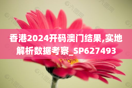 香港2024开码澳门结果,实地解析数据考察_SP627493