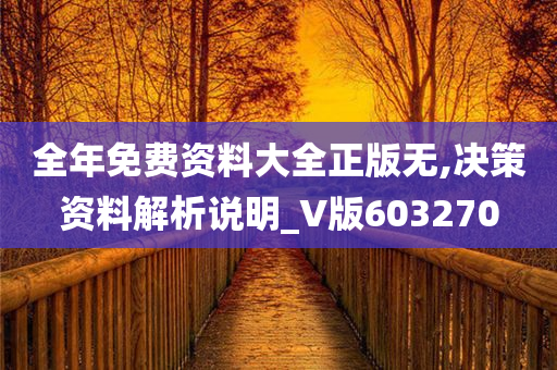 全年免费资料大全正版无,决策资料解析说明_V版603270