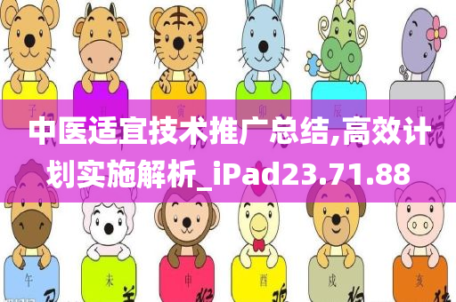 中医适宜技术推广总结,高效计划实施解析_iPad23.71.88