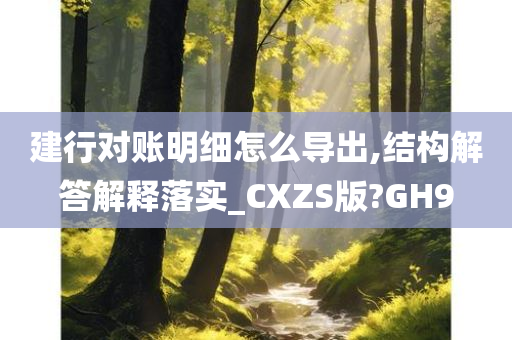 建行对账明细怎么导出,结构解答解释落实_CXZS版?GH9