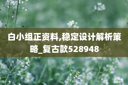 白小组正资料,稳定设计解析策略_复古款528948