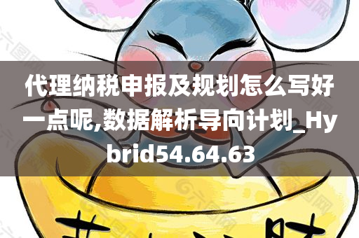 代理纳税申报及规划怎么写好一点呢,数据解析导向计划_Hybrid54.64.63