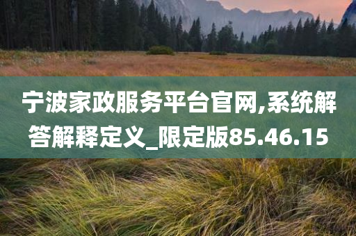 宁波家政服务平台官网,系统解答解释定义_限定版85.46.15