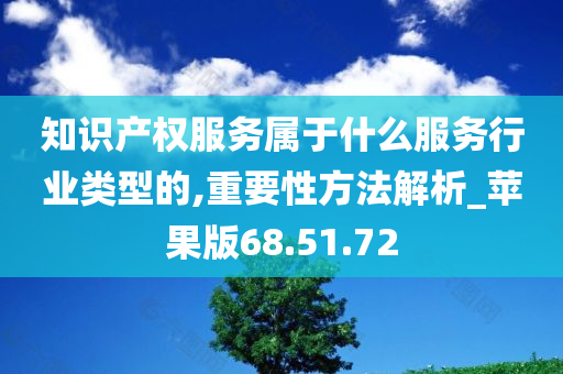 知识产权服务属于什么服务行业类型的,重要性方法解析_苹果版68.51.72