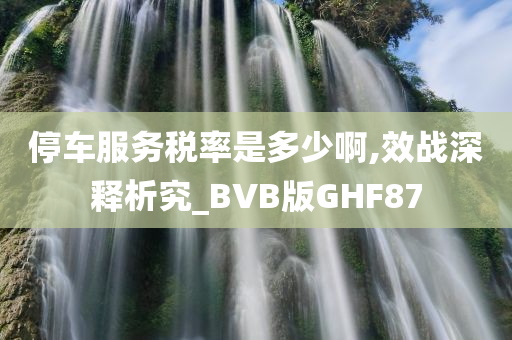 停车服务税率是多少啊,效战深释析究_BVB版GHF87