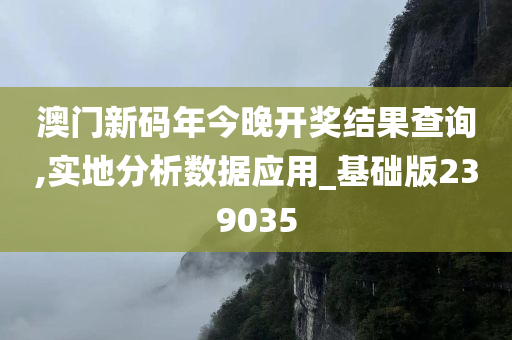 澳门新码年今晚开奖结果查询,实地分析数据应用_基础版239035