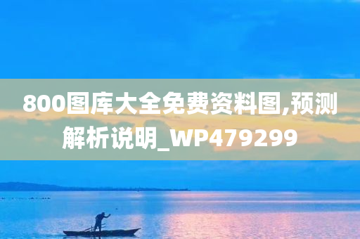 800图库大全免费资料图,预测解析说明_WP479299