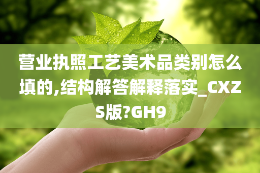 营业执照工艺美术品类别怎么填的,结构解答解释落实_CXZS版?GH9