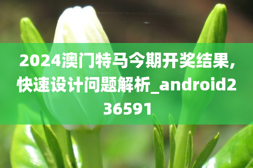 2024澳门特马今期开奖结果,快速设计问题解析_android236591