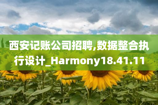 西安记账公司招聘,数据整合执行设计_Harmony18.41.11