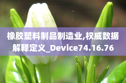 橡胶塑料制品制造业,权威数据解释定义_Device74.16.76