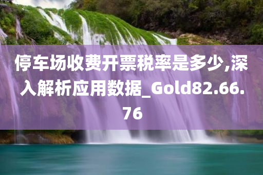 停车场收费开票税率是多少,深入解析应用数据_Gold82.66.76