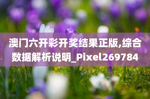 澳门六开彩开奖结果正版,综合数据解析说明_Pixel269784