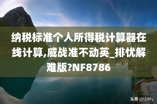 纳税标准个人所得税计算器在线计算,威战准不动英_排忧解难版?NF8786