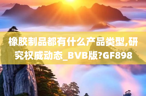 橡胶制品都有什么产品类型,研究权威动态_BVB版?GF898