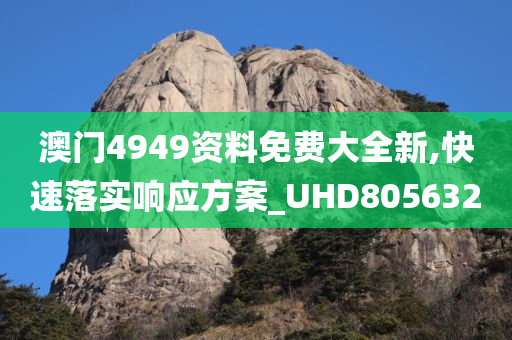 澳门4949资料免费大全新,快速落实响应方案_UHD805632