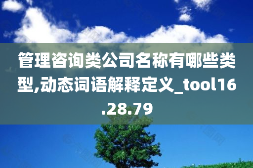 管理咨询类公司名称有哪些类型,动态词语解释定义_tool16.28.79