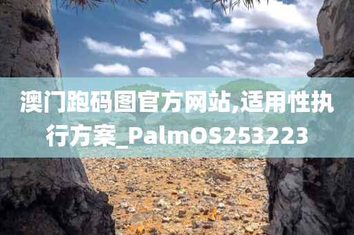 澳门跑码图官方网站,适用性执行方案_PalmOS253223