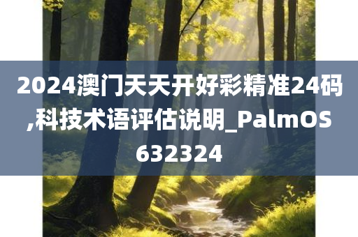 2024澳门天天开好彩精准24码,科技术语评估说明_PalmOS632324