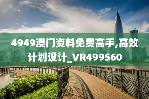 4949澳门资料免费高手,高效计划设计_VR499560