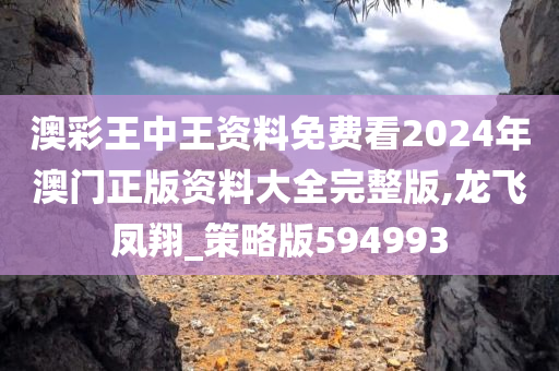 澳彩王中王资料免费看2024年澳门正版资料大全完整版,龙飞凤翔_策略版594993