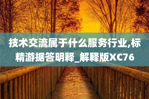 技术交流属于什么服务行业,标精游据答明释_解释版XC76