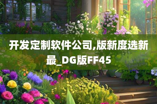 开发定制软件公司,版新度选新最_DG版FF45